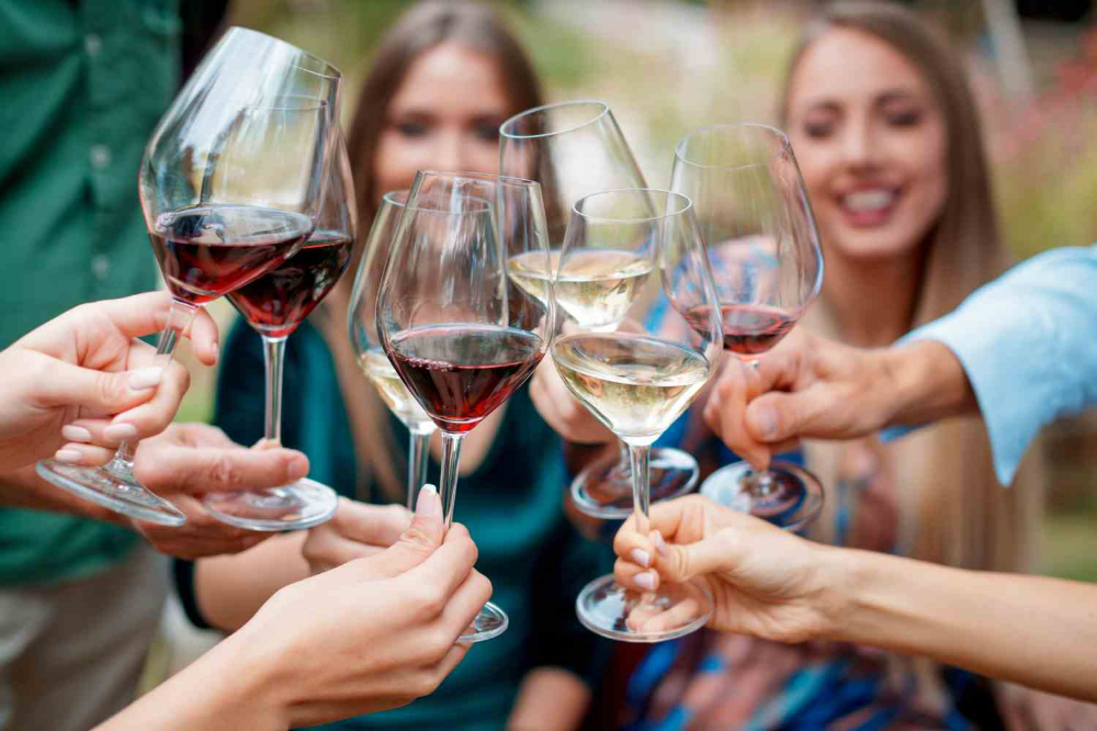 Group toasting red and white wine at an outdoor event, highlighting versatile tailgating wine choices