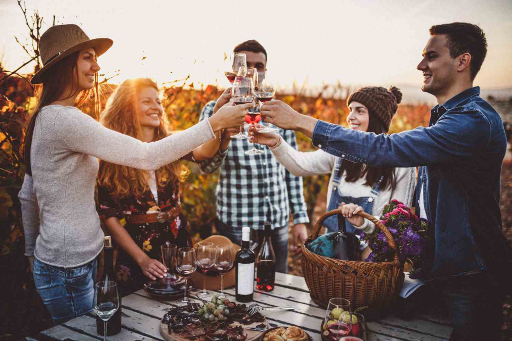 Friends toasting red wine at an outdoor gathering, enjoying tailgating wines in a vineyard setting