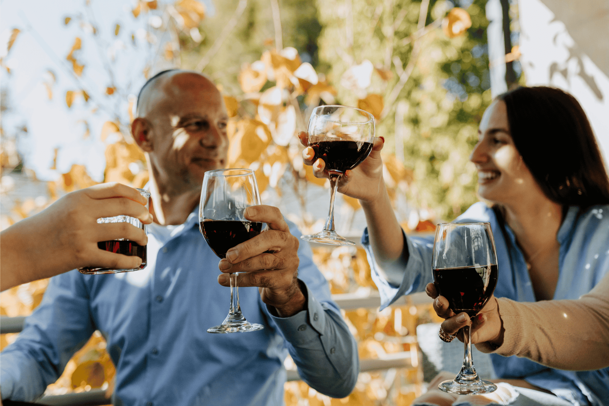 Family enjoying a toast with organic red wine on a sunny afternoon