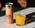 Two Robbers - Orange Vodka Soda Can 12oz (12)
