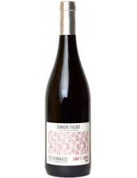Domaine Pluchot - Cote Roannaise Red Le Vignoble (750ml) (750ml)
